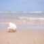30a beaches