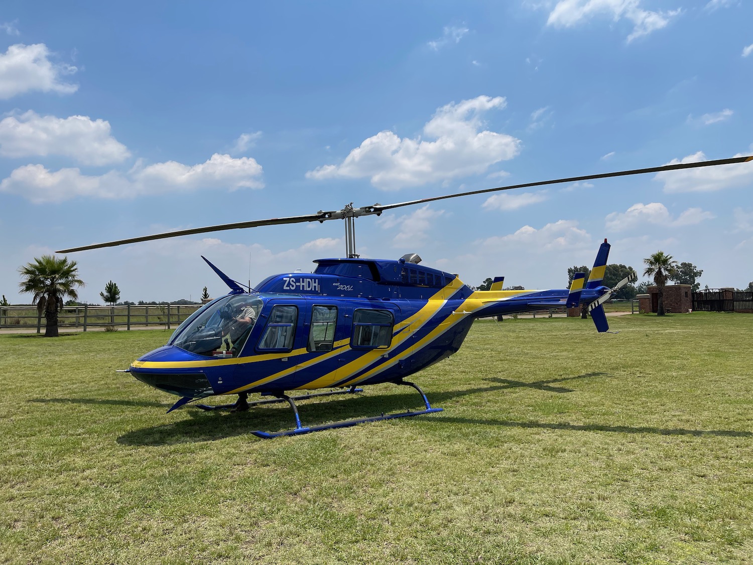 a blue and yellow helicopter on grass