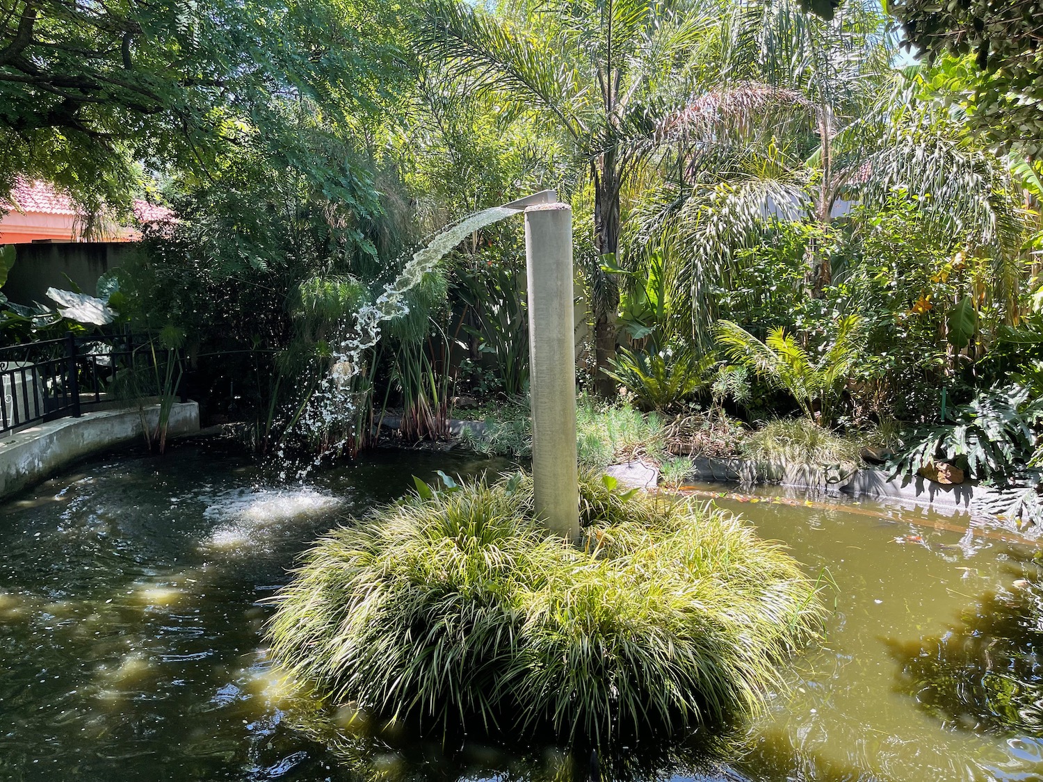 a fountain in a pond