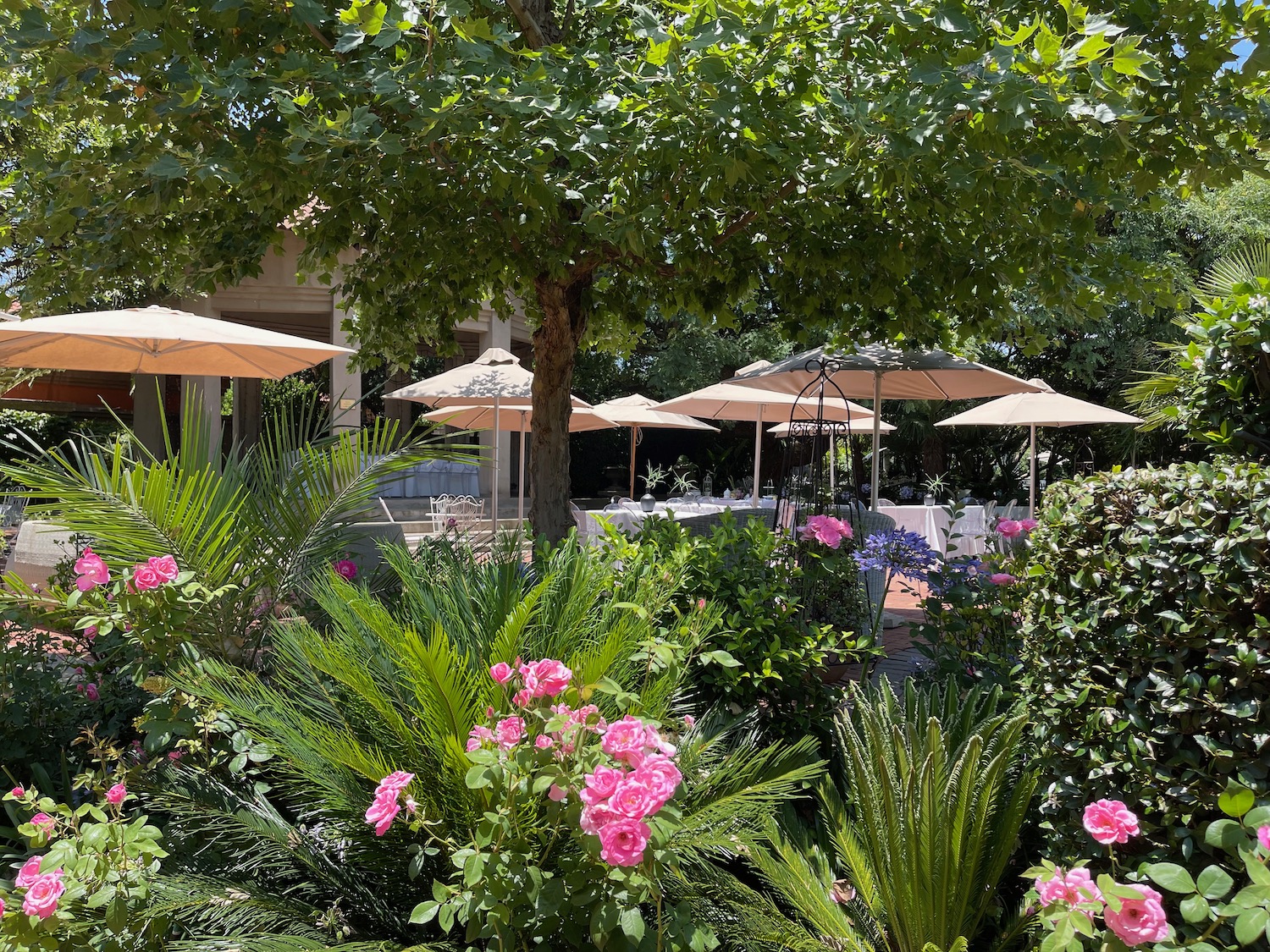 a garden with umbrellas and flowers