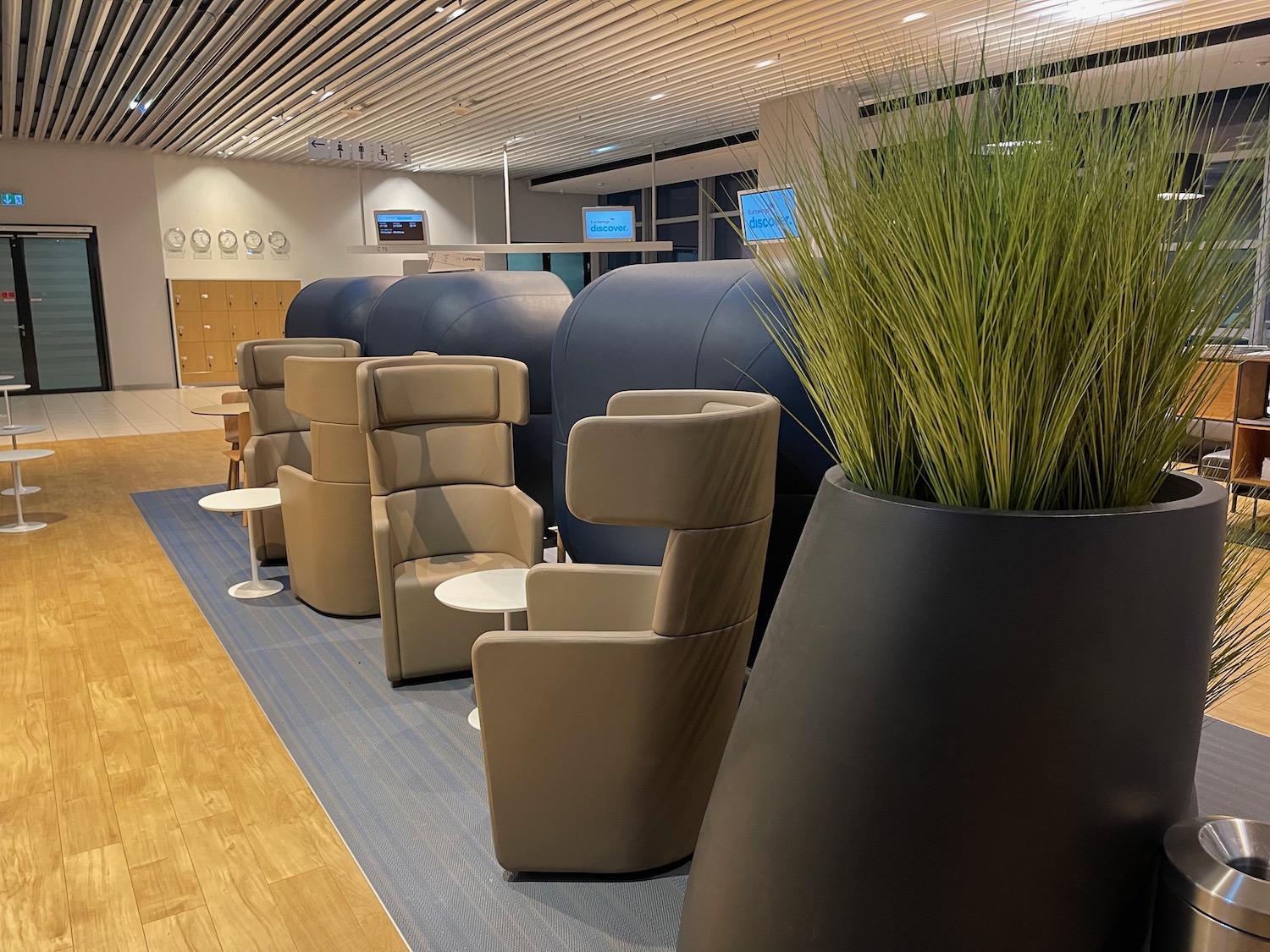 a group of chairs and a plant in a room