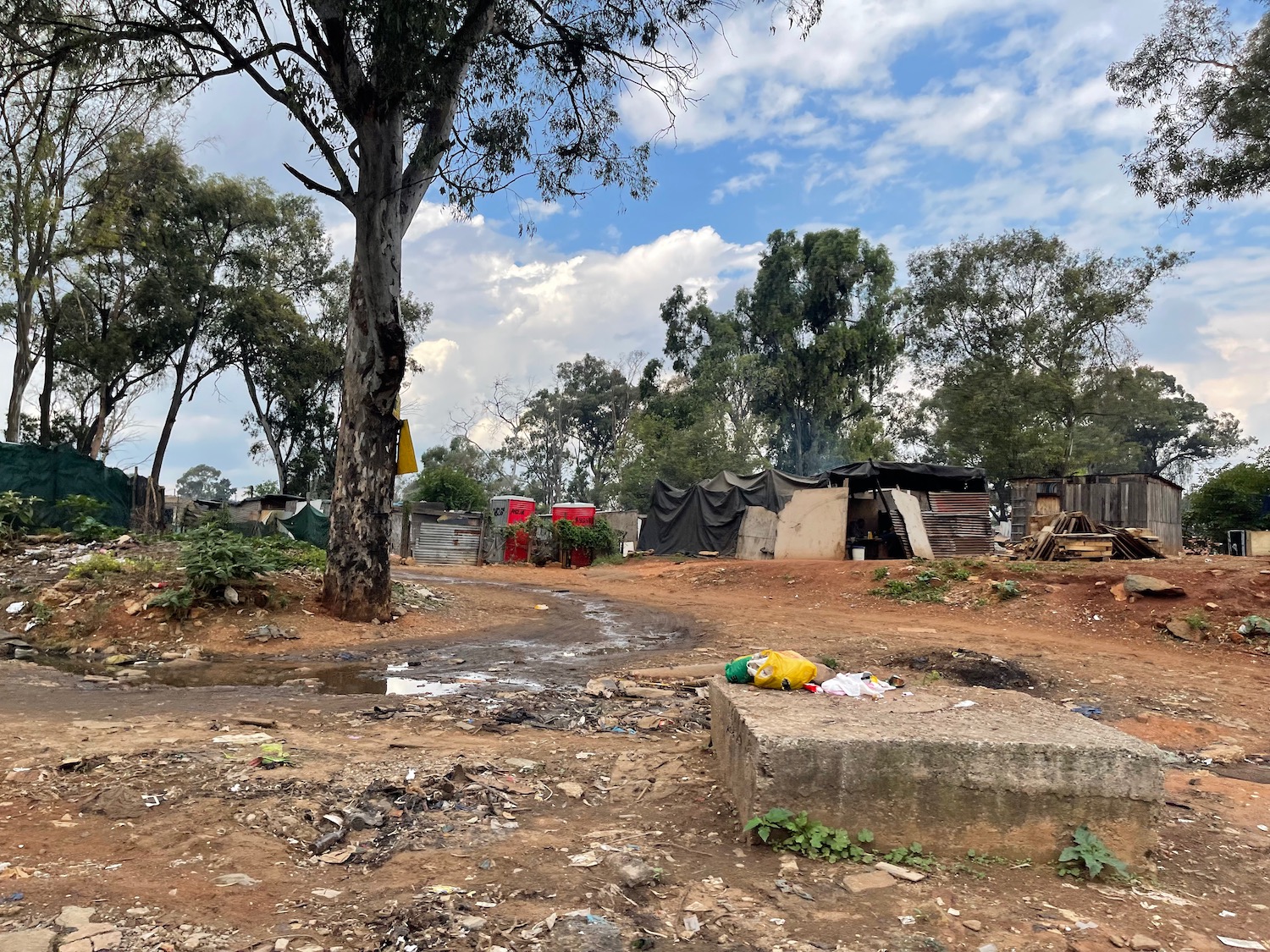 a dirt road with a tree and buildings