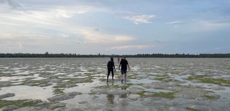 two people walking in a shallow area
