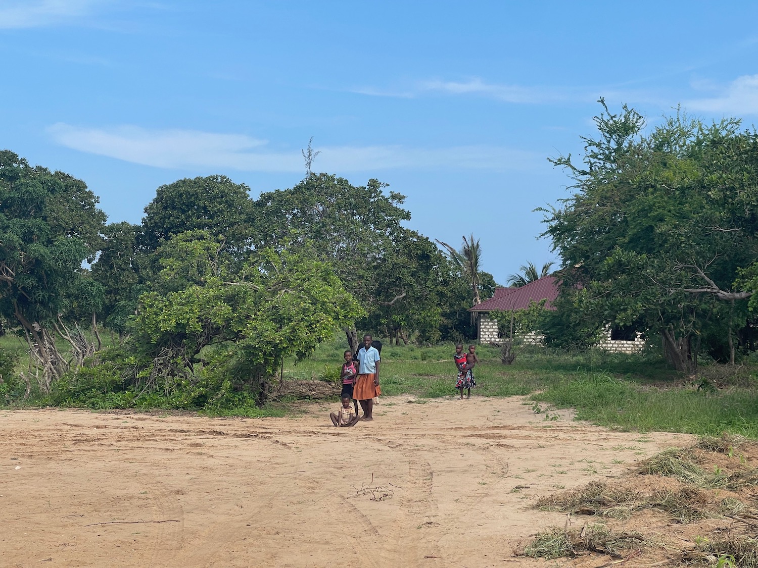 a group of people walking on a dirt road