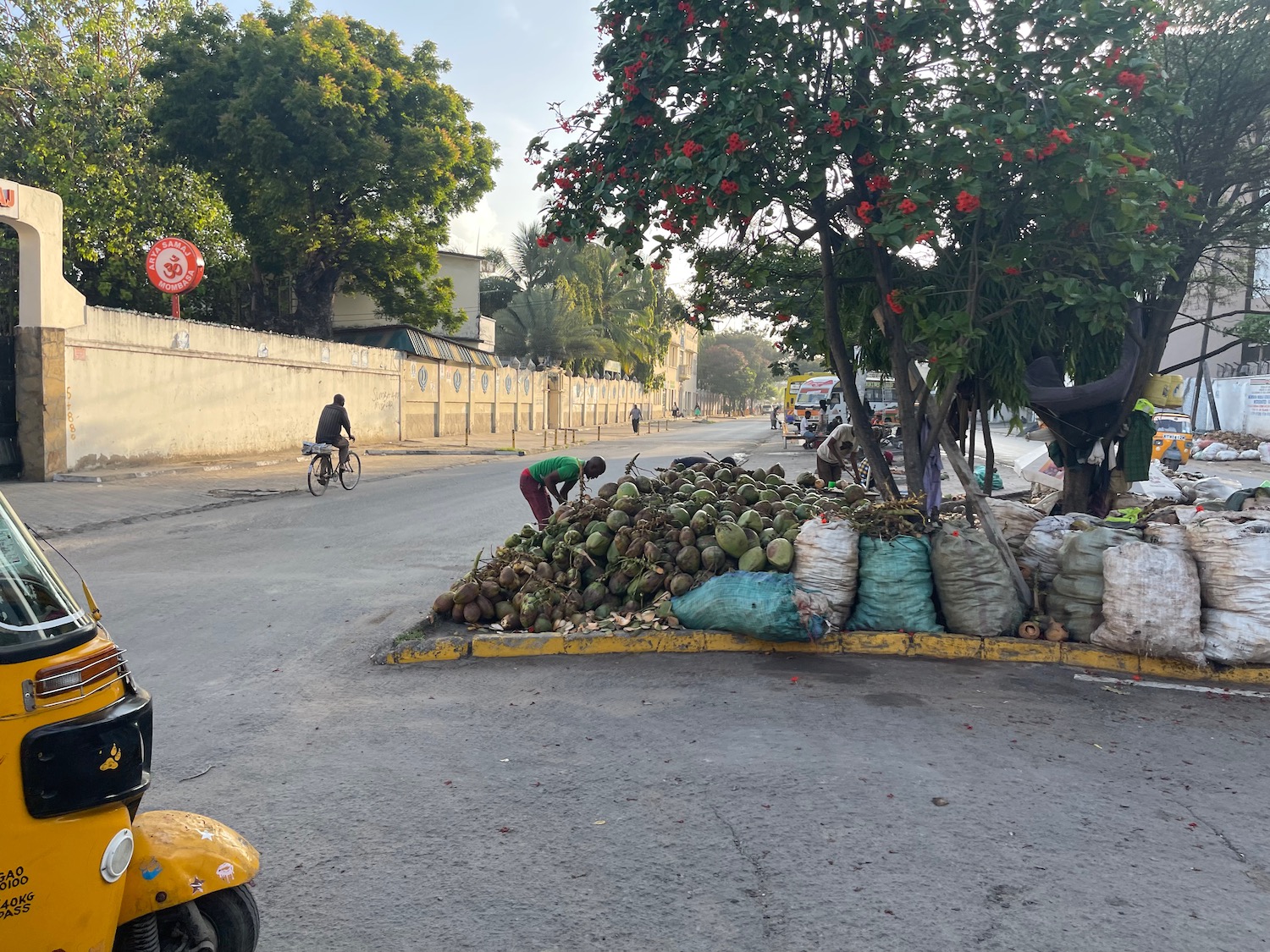 a pile of fruit on the side of a road