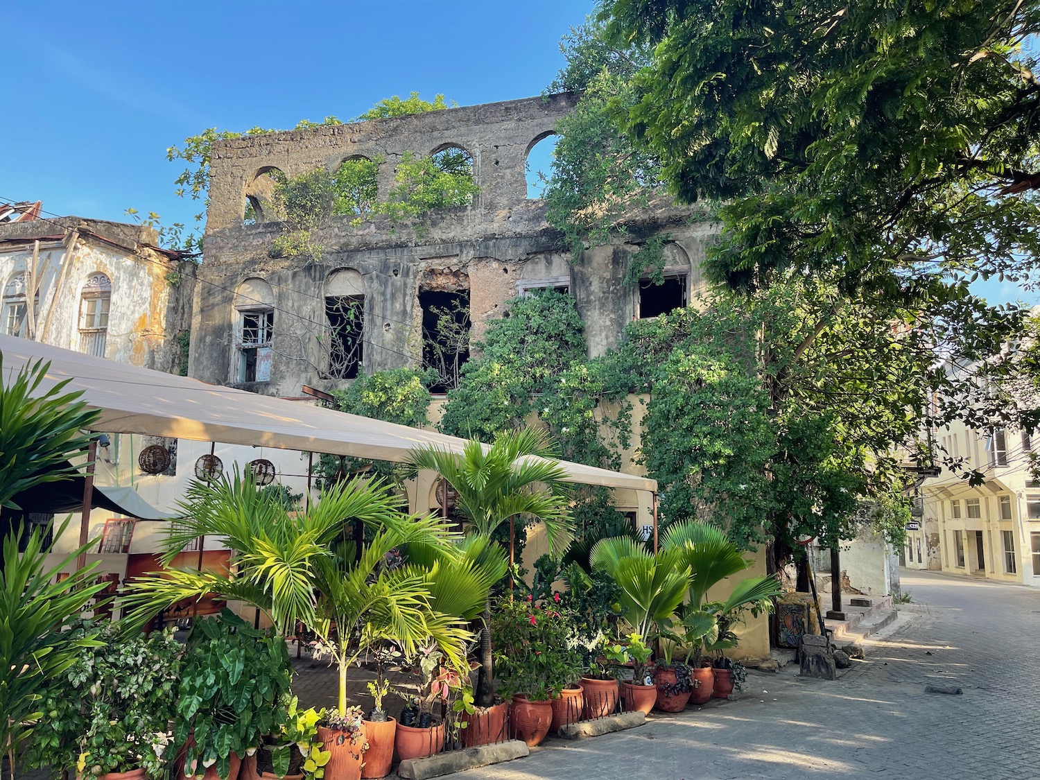 a building with plants growing on it