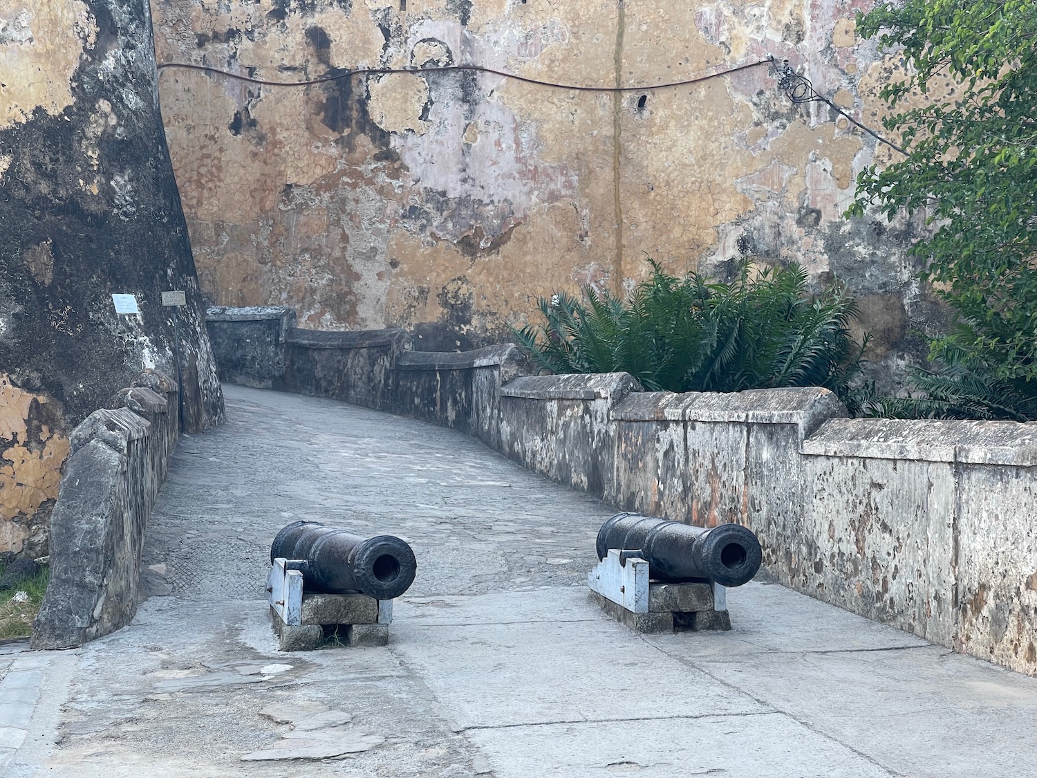 two cannons on a stone path