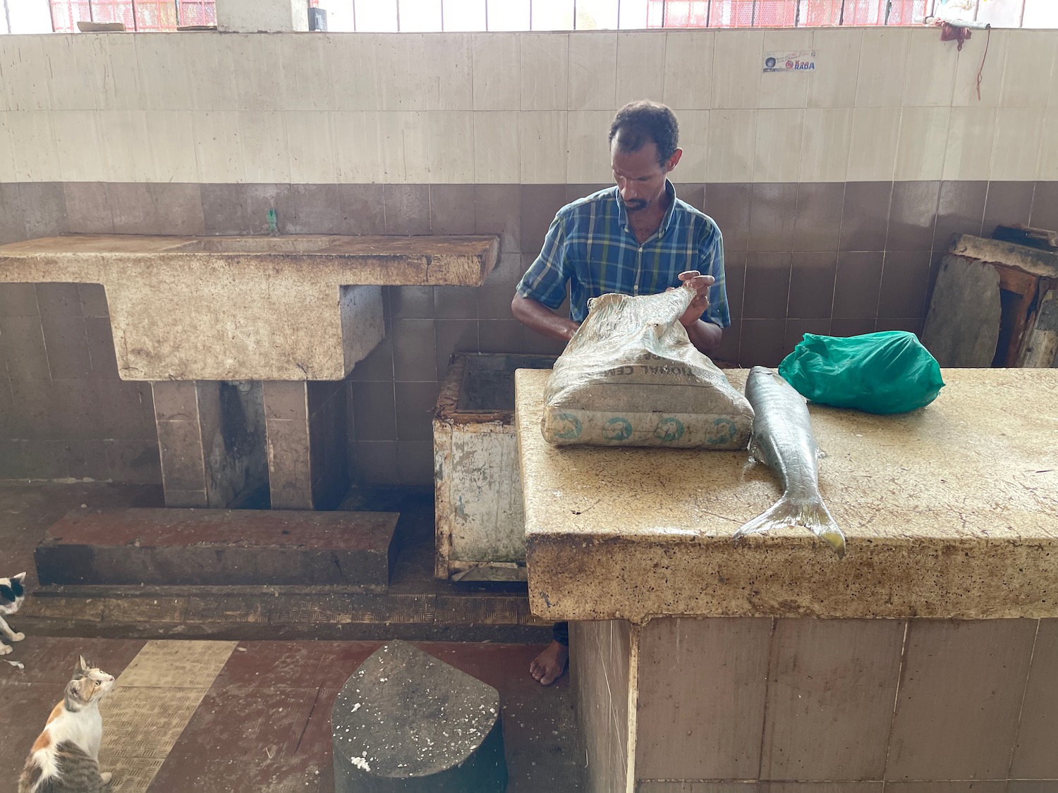 a man sitting at a counter with a fish