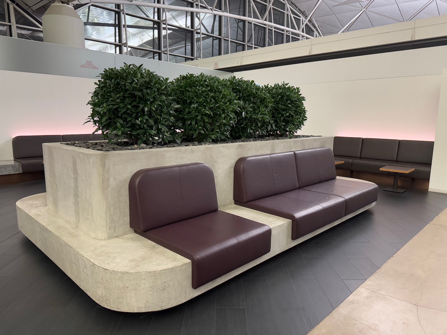 a couches and a planter in a room