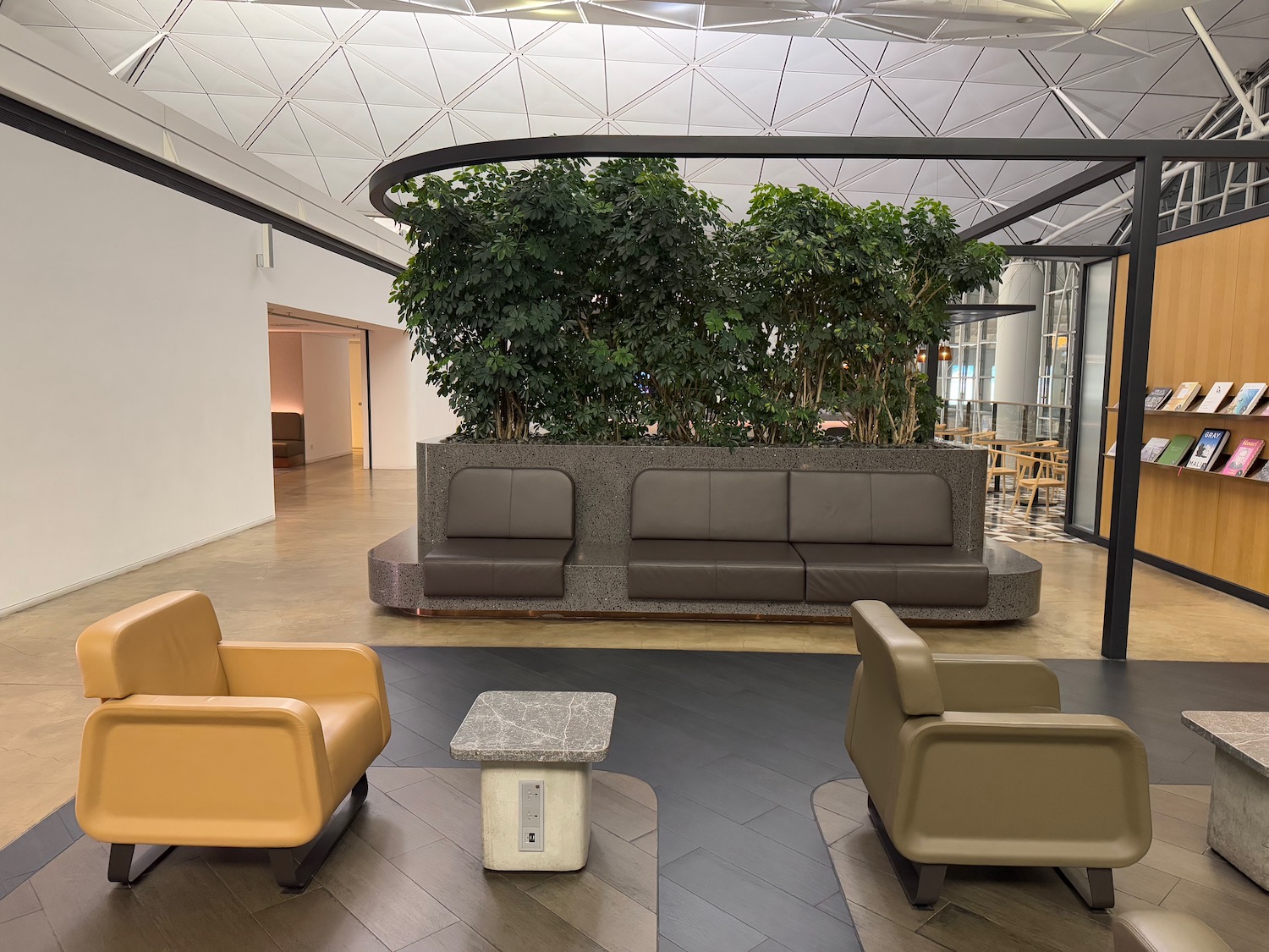 a room with a couch and a plant