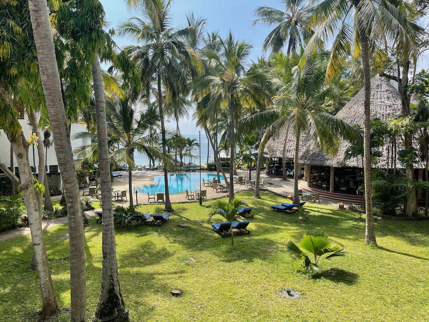 a pool and palm trees by a building