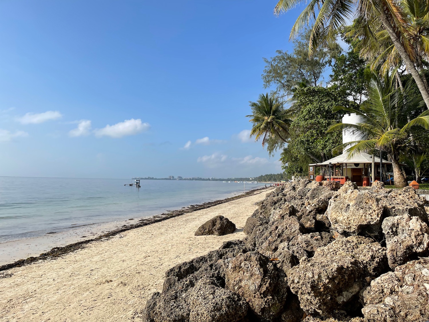 a beach with rocks and trees