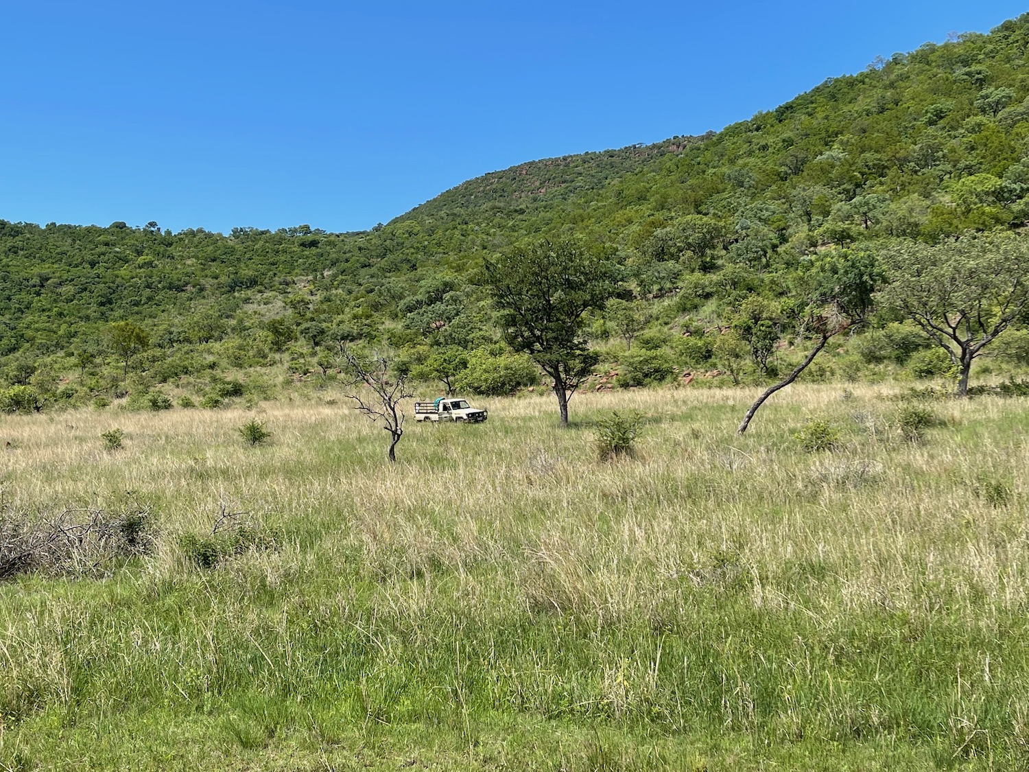 a field with trees and a vehicle in it