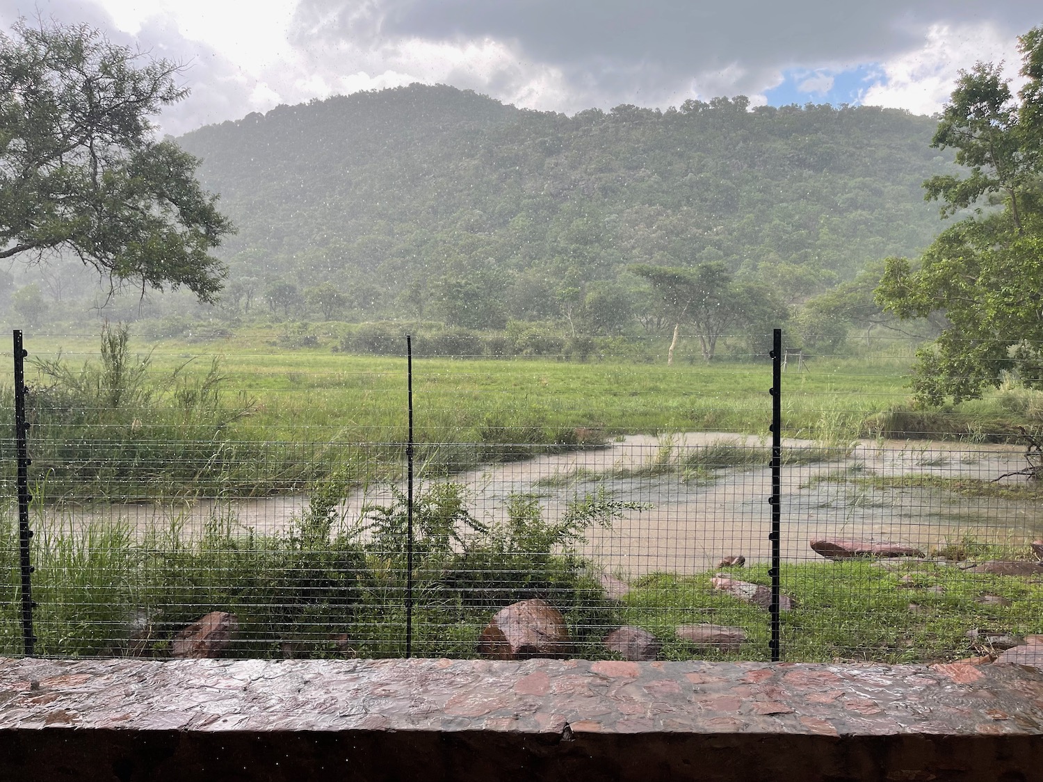a fence with a river and trees in the background