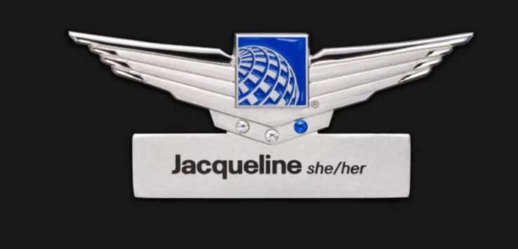 a silver and blue badge with wings