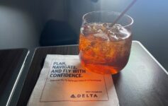 Delta Mormon Flight Attendant