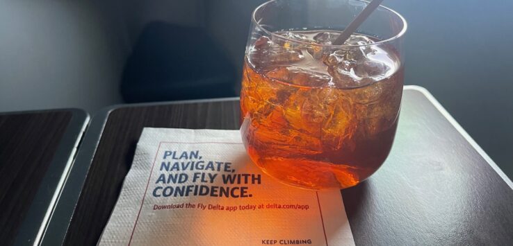 Delta Mormon Flight Attendant