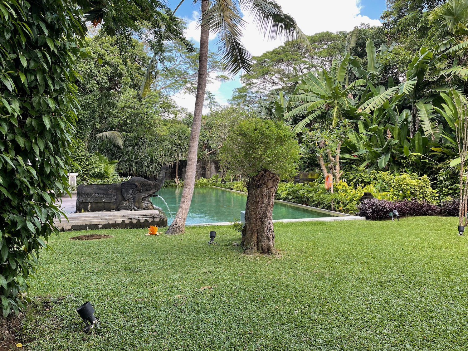 a pool with trees and a statue in the middle