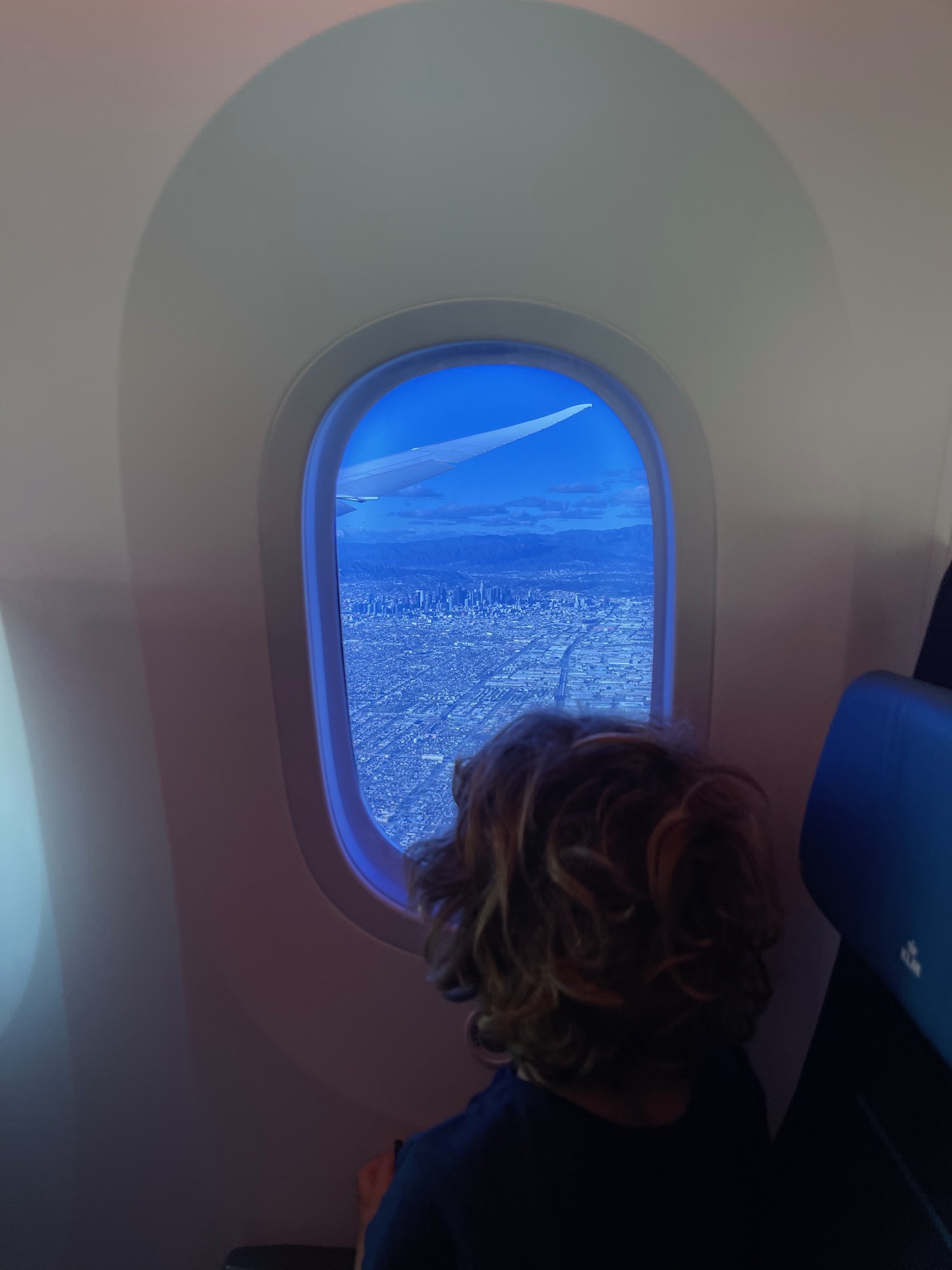 a person looking out a window of an airplane