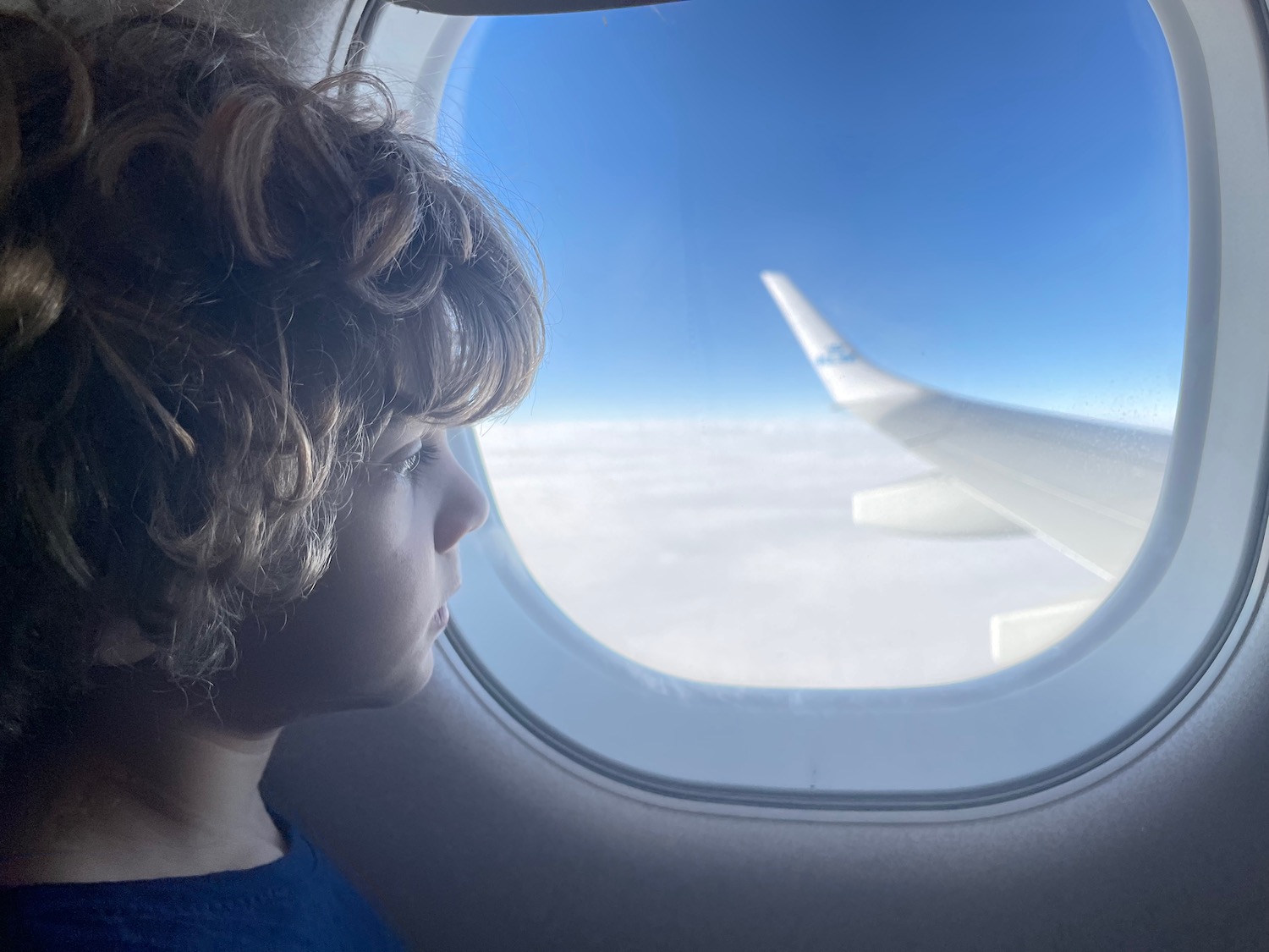 a child looking out a window