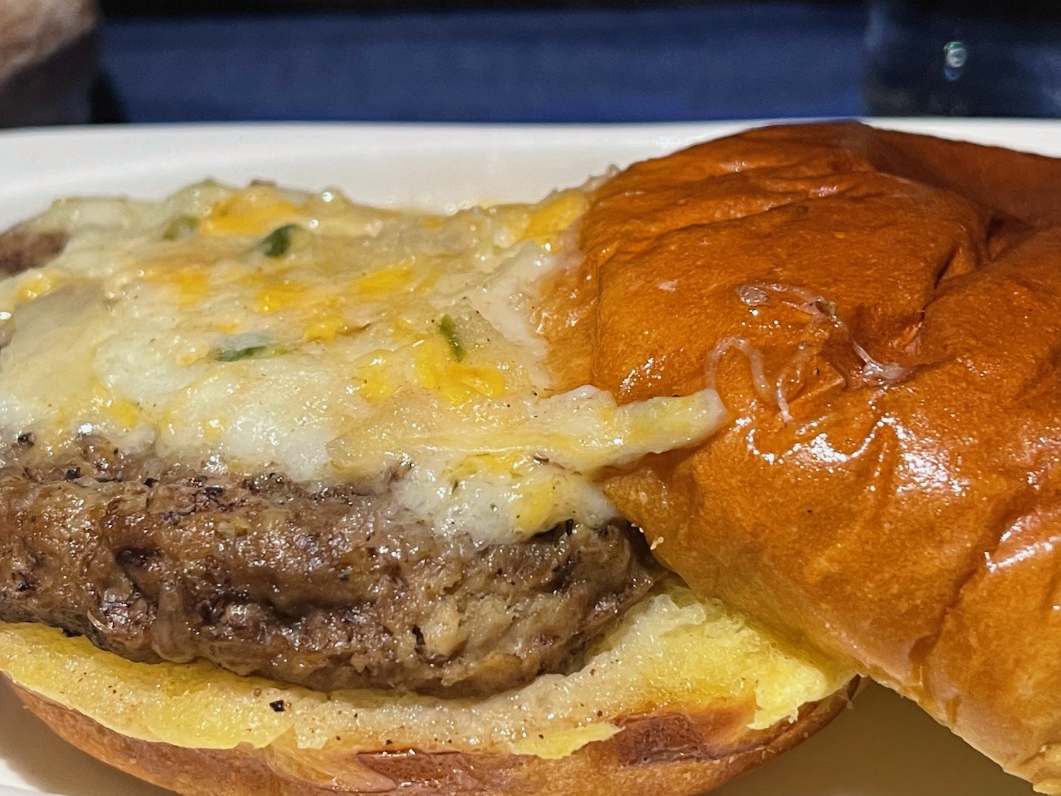 a cheeseburger on a bun