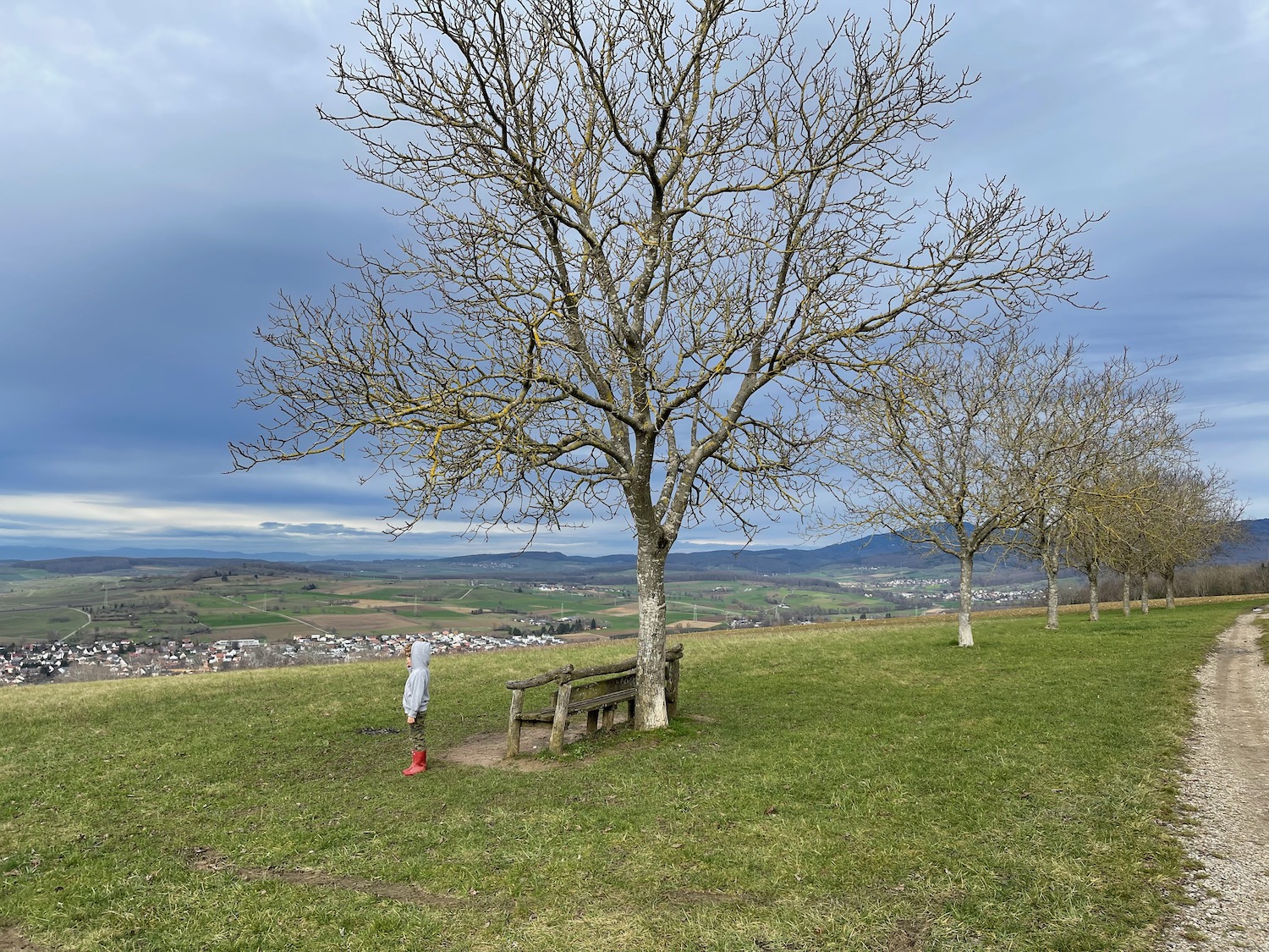 a person standing on a bench in a grassy field with trees