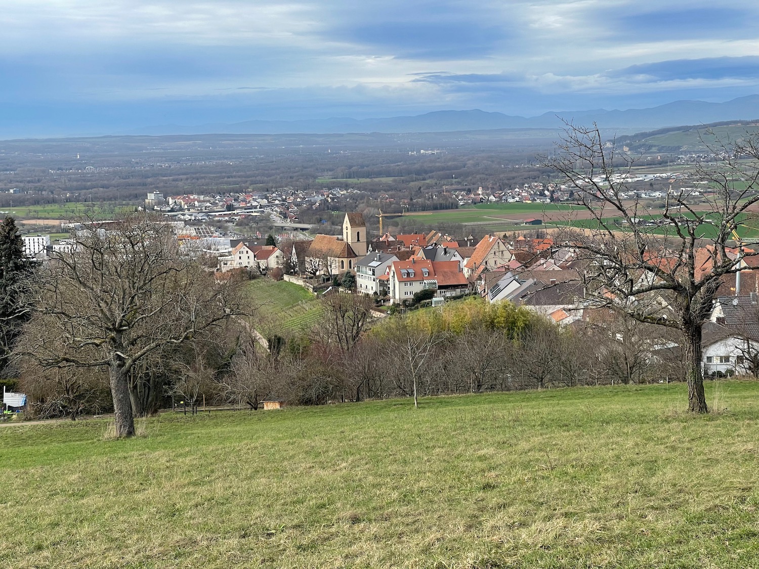 a landscape with a field and trees and buildings