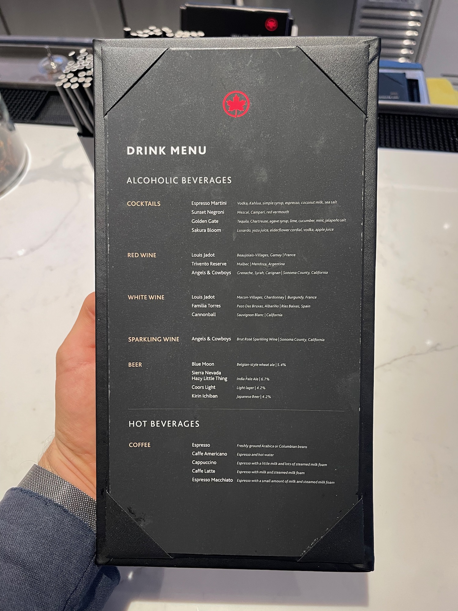 a hand holding a menu