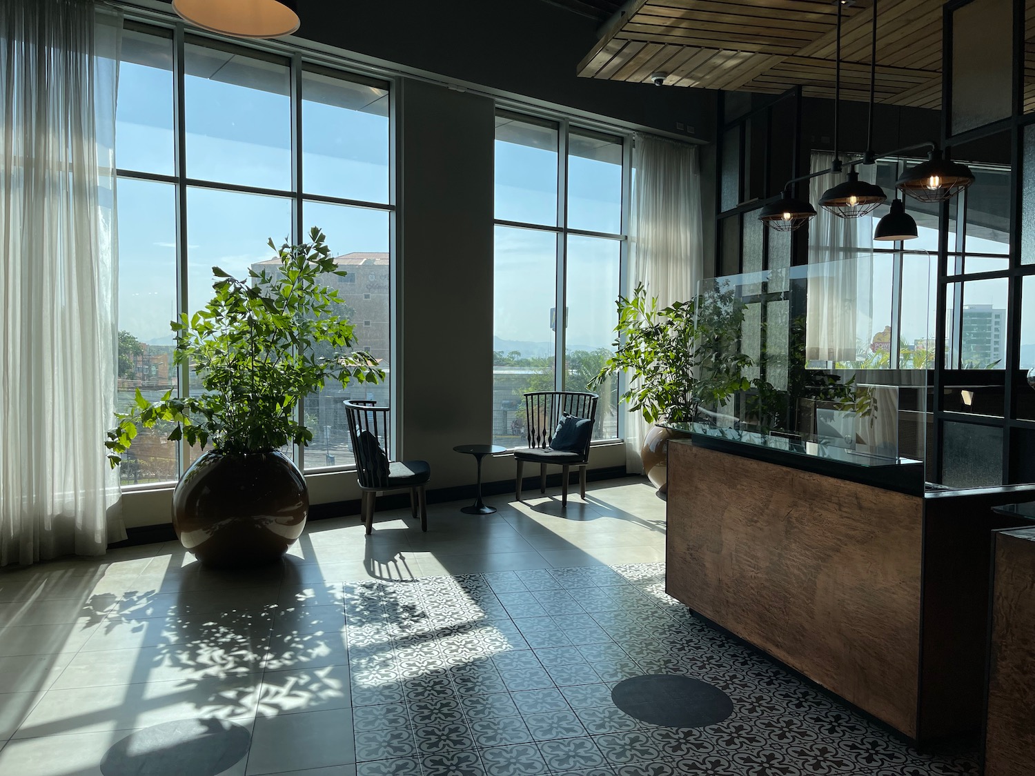 a room with large windows and a plant