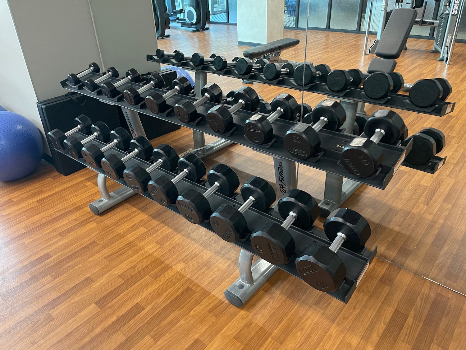 a rack of weights in a gym