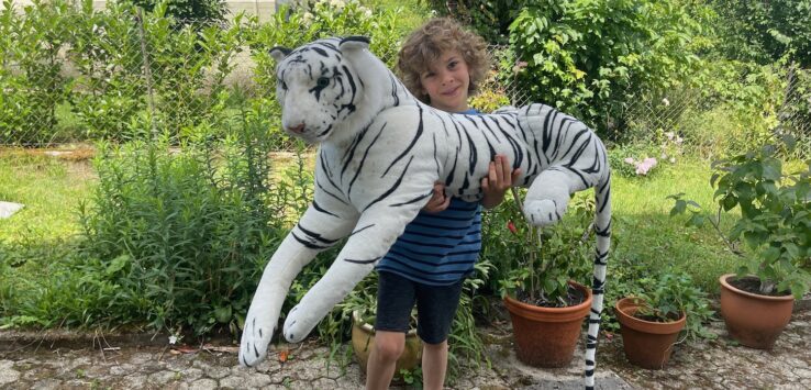 a child holding a stuffed tiger