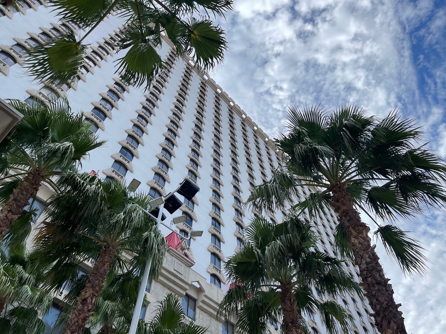 a tall building with palm trees