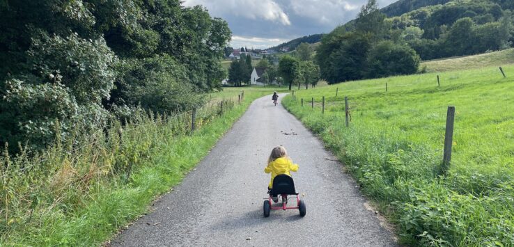 a child riding a tricycle on a path with grass and trees