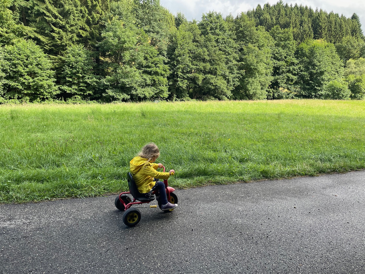 a child riding a tricycle on a path with grass and trees in the background