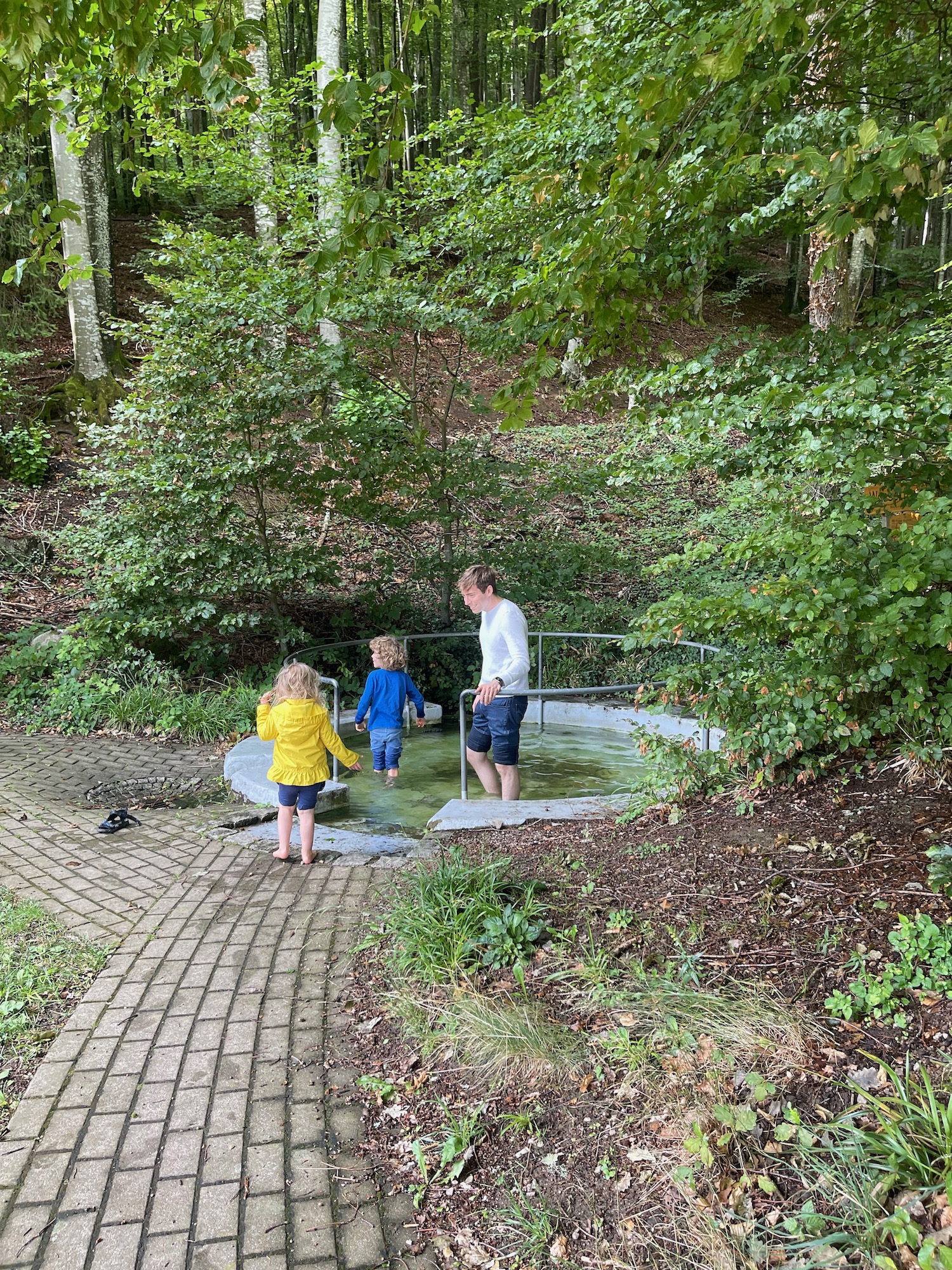 a man and two children standing in a pool of water