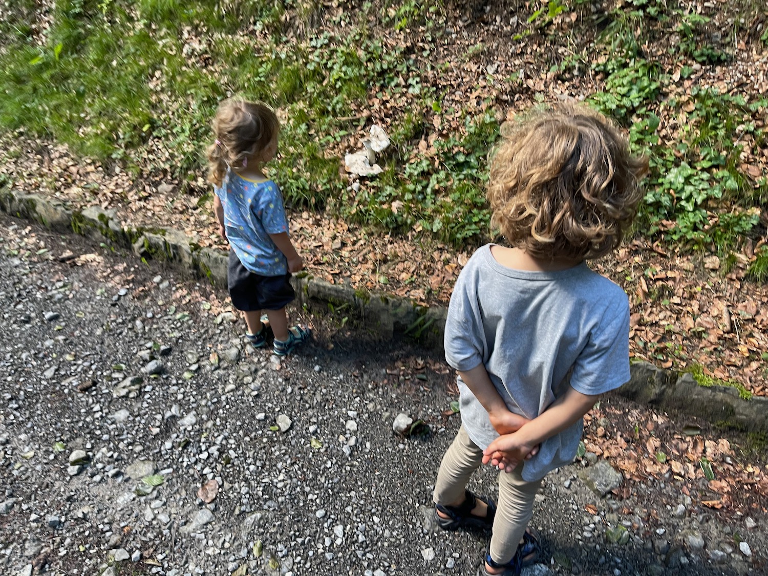 two children standing on a path