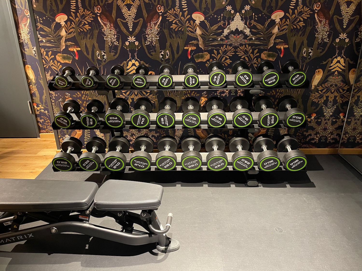 a rack of weights in a room