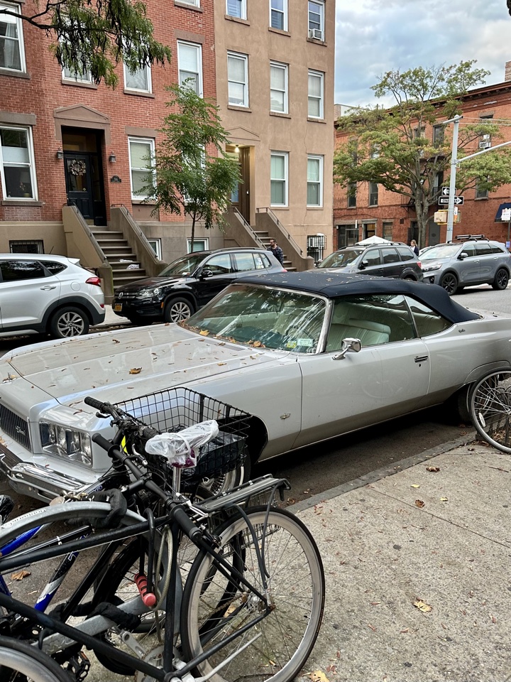 Lucali pizza brooklyn new york caprice outside