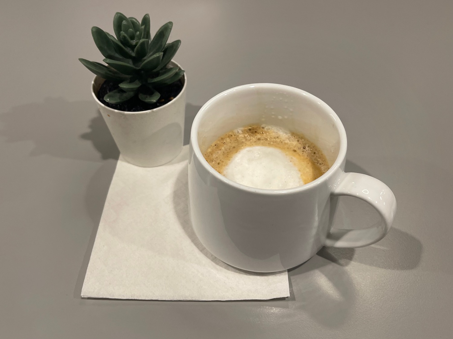 a cup of coffee and a plant