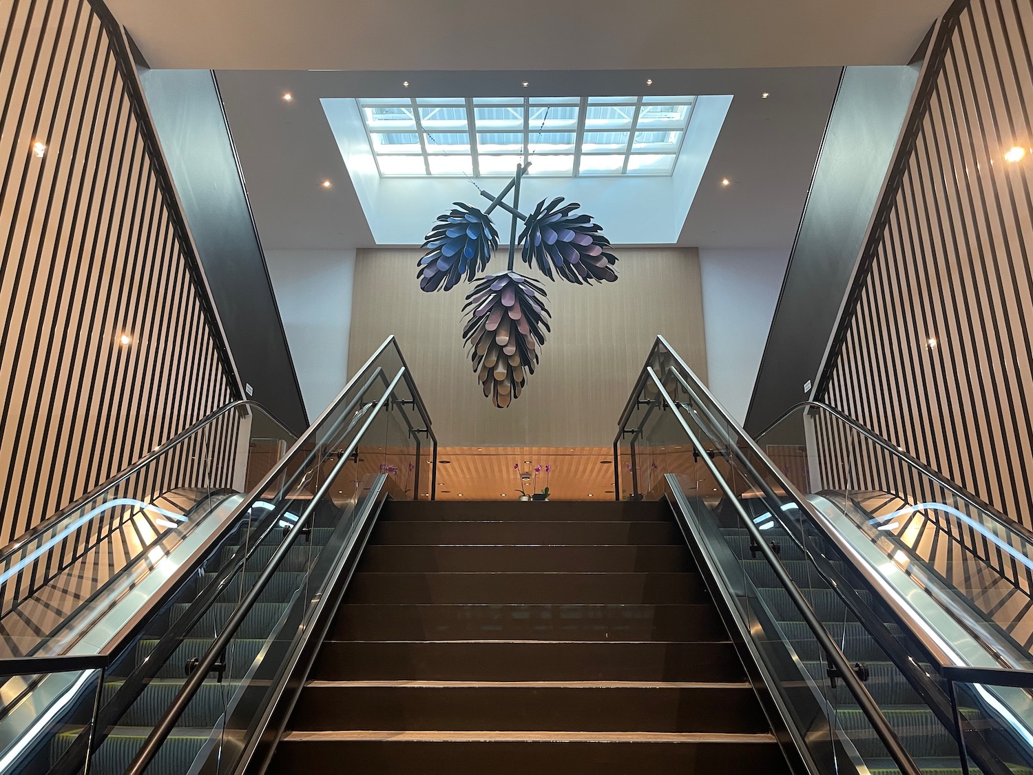 a escalators and a chandelier