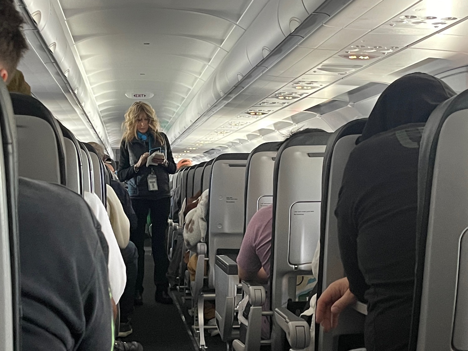 a woman standing in an airplane