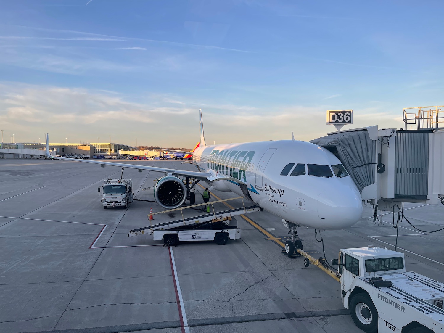 a plane on the tarmac