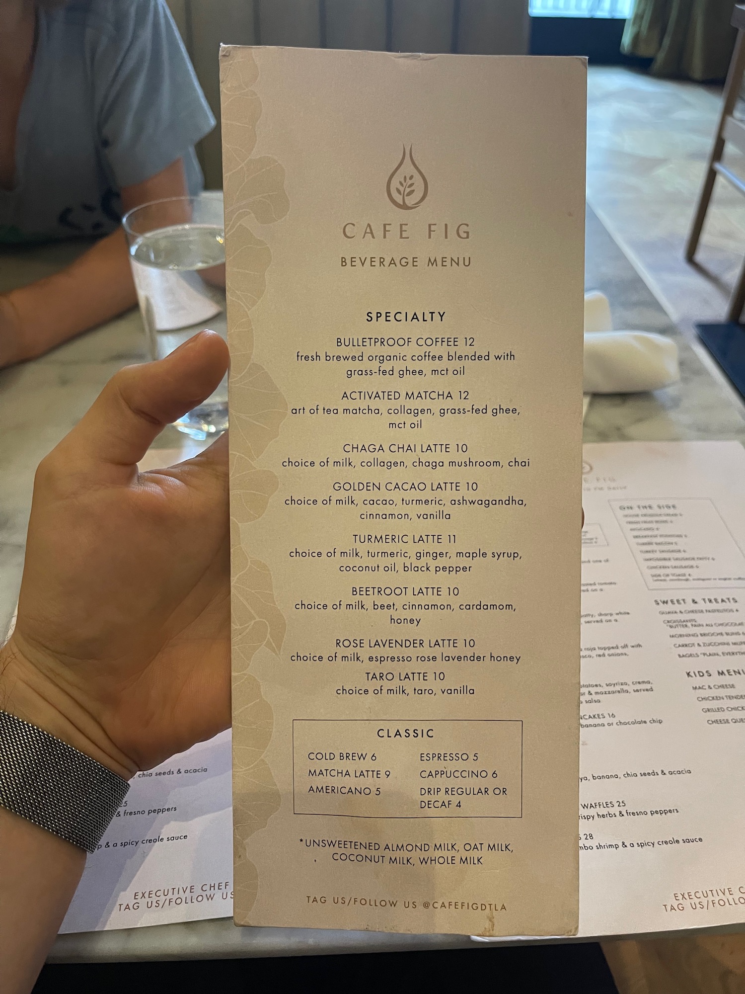 a hand holding a menu