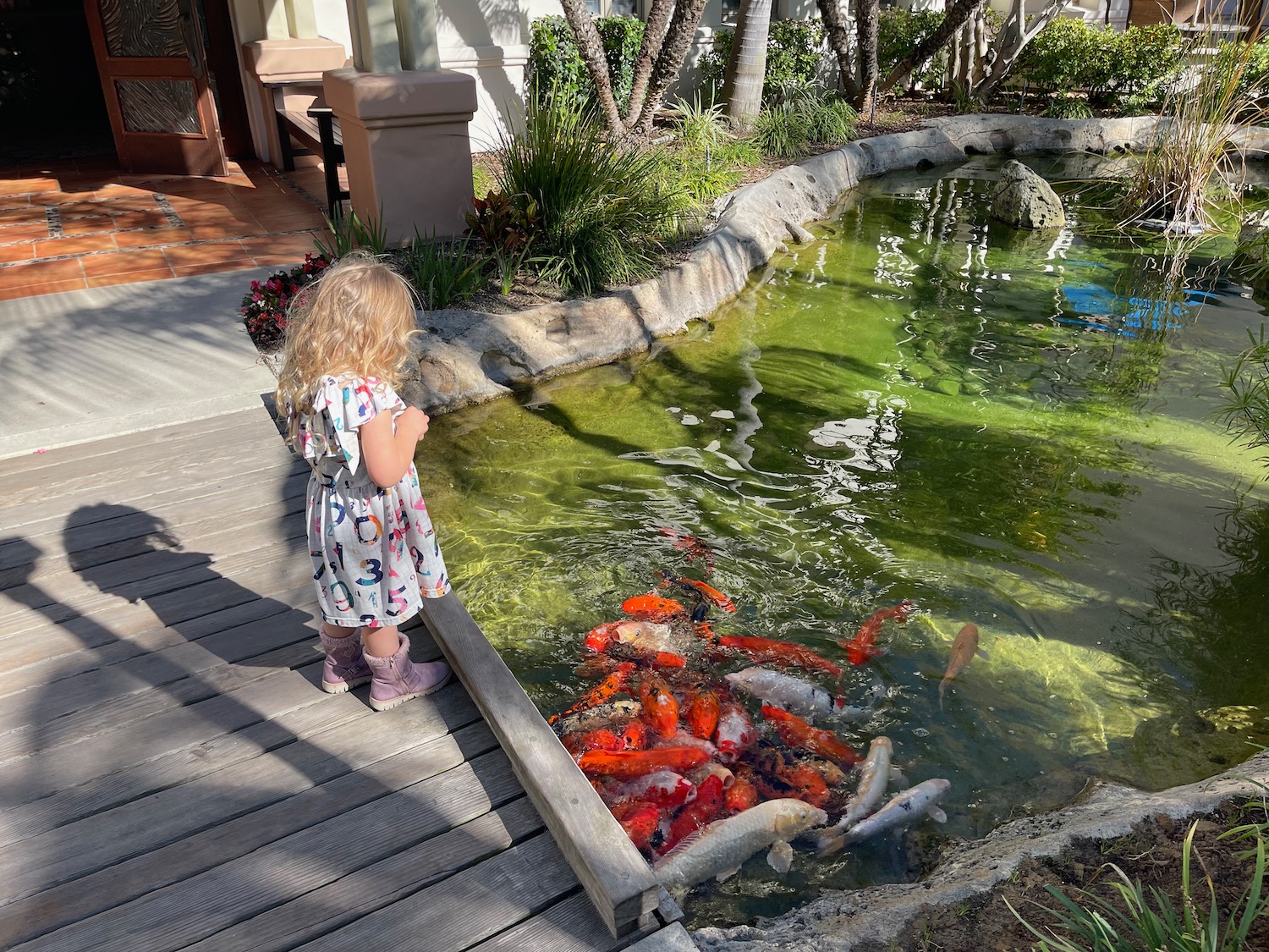 a girl looking at a fish in a pond