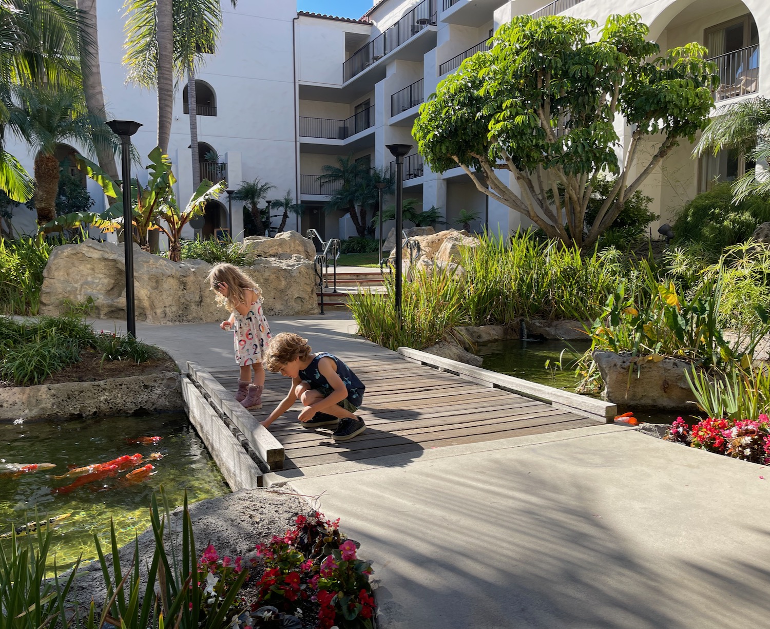 a children playing with a fish in a pond