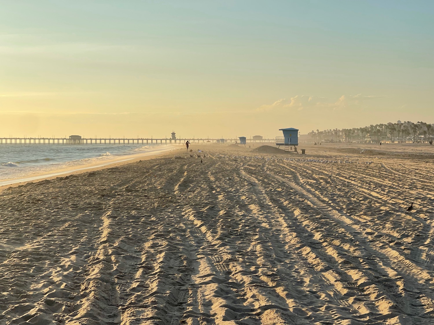 a sandy beach with a pier and a bridge