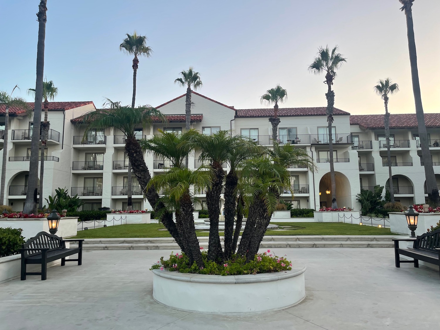 a group of palm trees in a courtyard