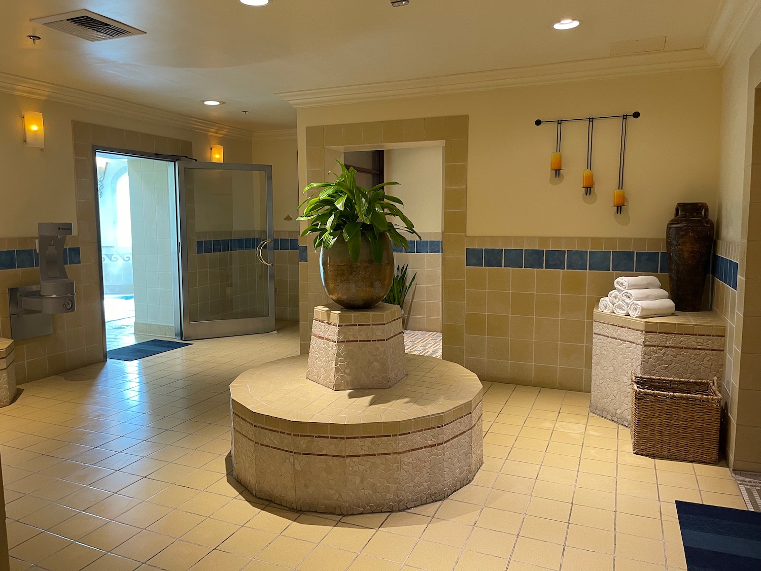 a room with a large plant on top of a pedestal