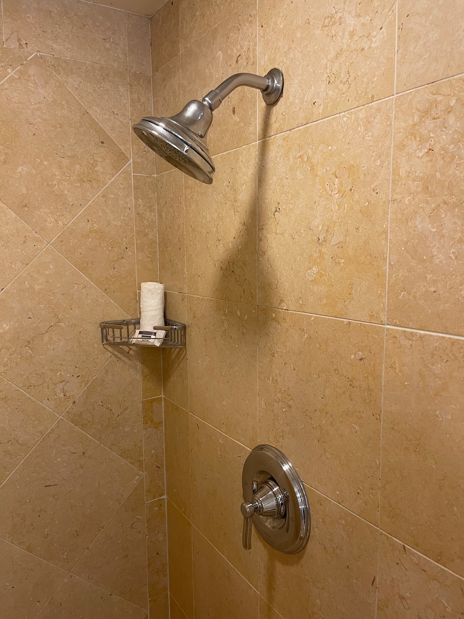 a shower head and a holder