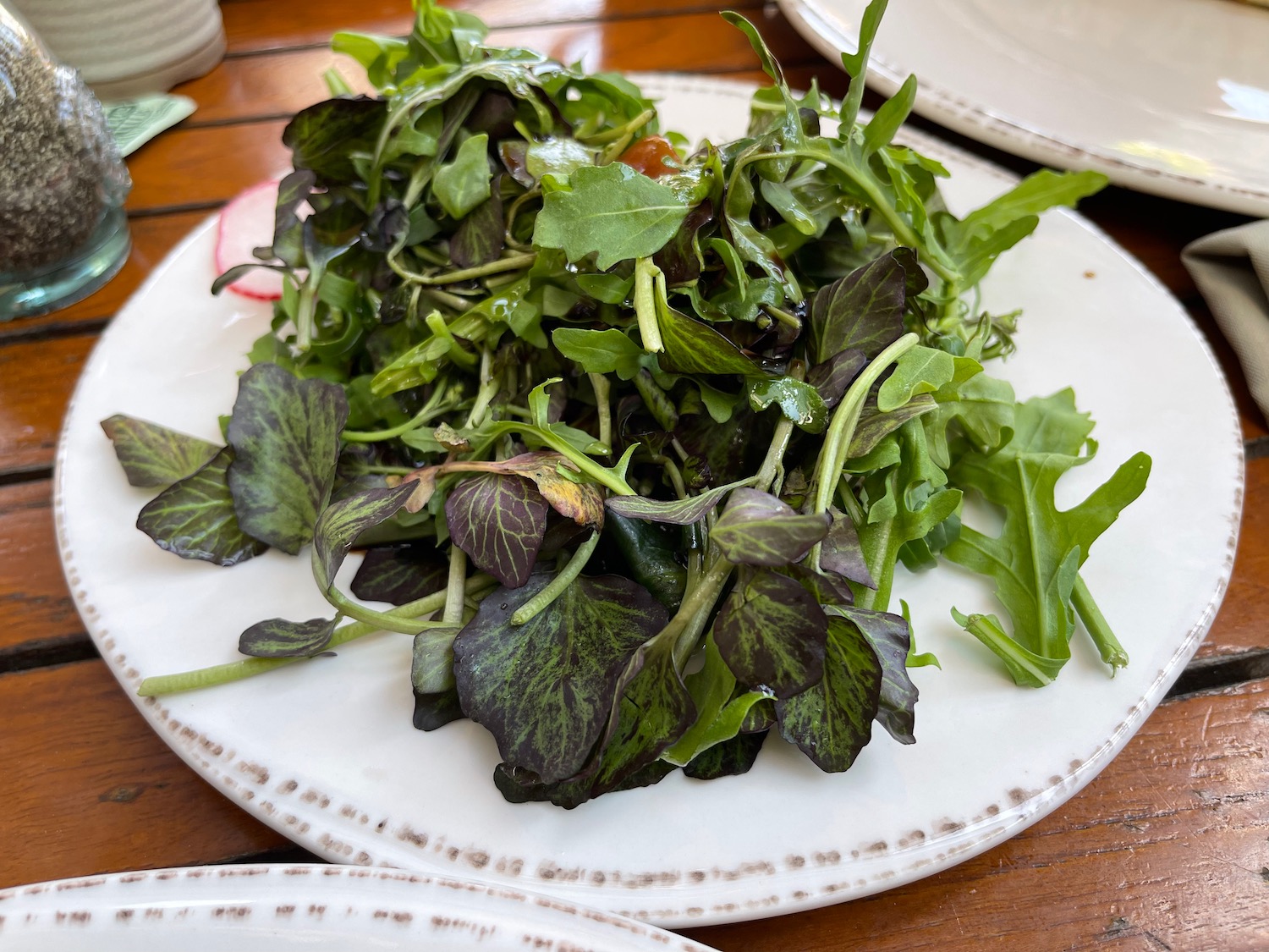 a plate of green and purple leaves